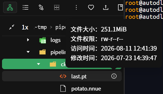 模型文件